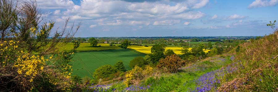 Oswestry